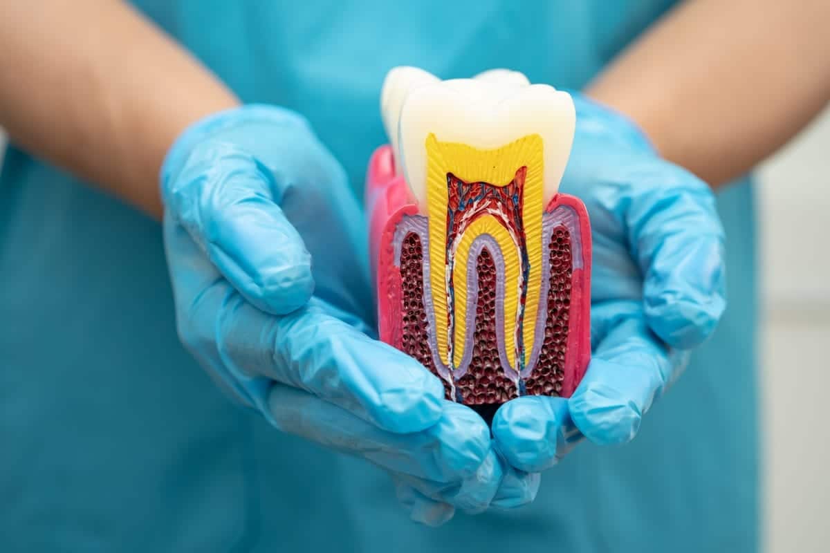 Root Canal Treatment in Elmwood Park